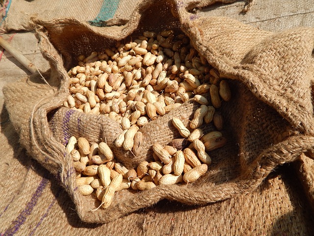 Le complexe agro-industriel africain, un secteur stratégique pour le Continent 1 secteur stratégique