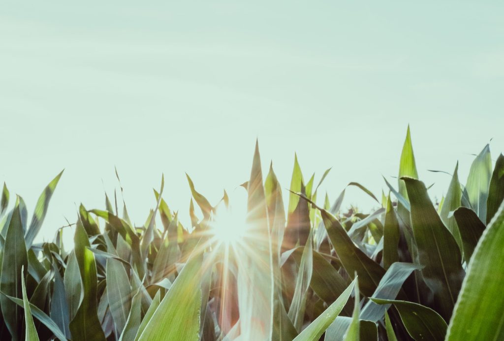 Quand l’OSINT participe à la détection du greenwashing 1 27607169104 708b63d33c k e1781642233263